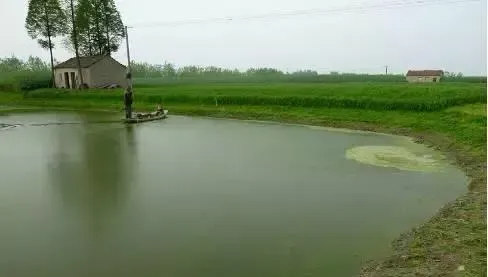 养鱼池水没肥好，要怪下肥太盲目