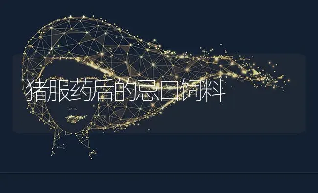 猪服药后的忌口饲料 | 养殖病虫害防治