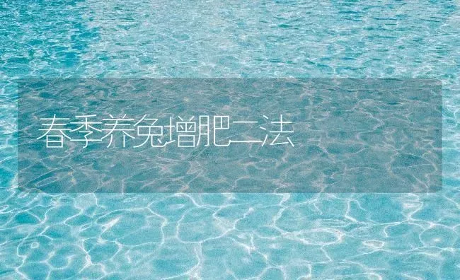 春季养兔增肥二法 | 家畜养殖