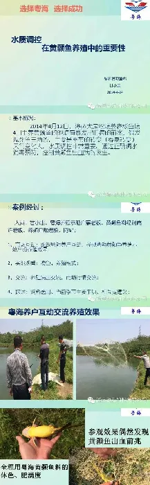 黄颡鱼水质调控案例：养鱼先养水好水出好鱼