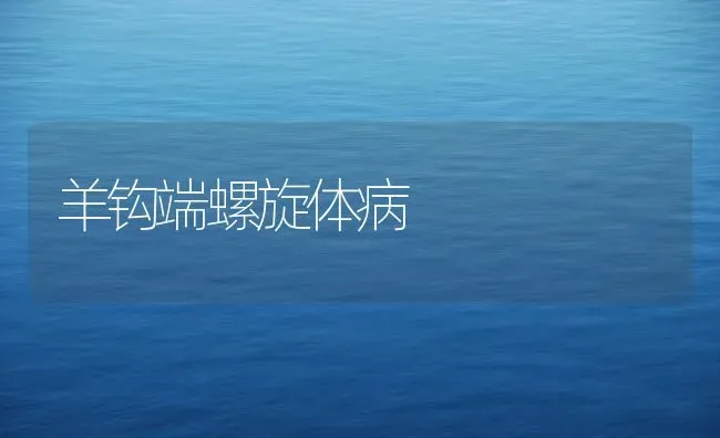 羊钩端螺旋体病 | 家畜养殖