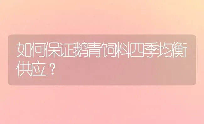 如何保证鹅青饲料四季均衡供应？ | 家禽养殖