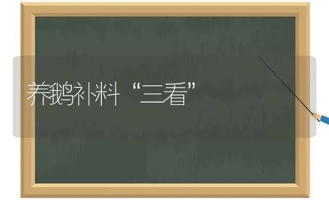 养鹅补料“三看” | 家禽养殖