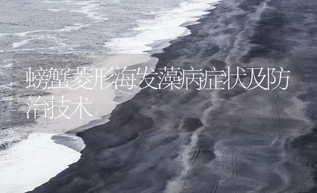 螃蟹菱形海发藻病症状及防治技术 | 养殖病虫害防治
