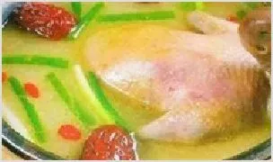 孕妇鸽子汤 | 动物饲养方法