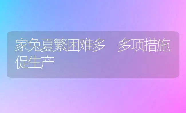 家兔夏繁困难多 多项措施促生产 | 家畜养殖