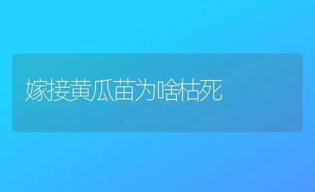 牛羊尿素中毒该咋办 | 家畜养殖
