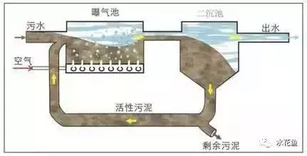 活性污泥法处理水产养殖循环用水