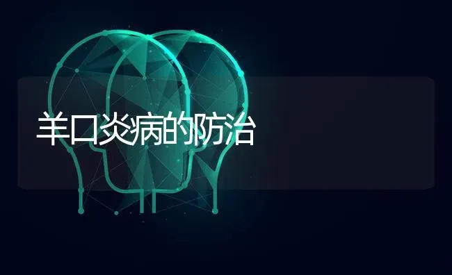 羊口炎病的防治 | 家畜养殖