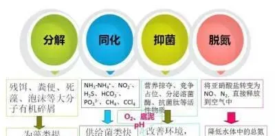 连续阴雨天池塘亚硝酸盐偏高的处理方法