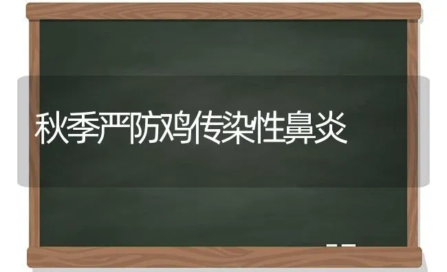 秋季严防鸡传染性鼻炎 | 家禽养殖