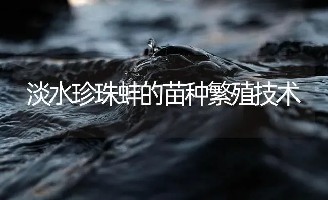 淡水珍珠蚌的苗种繁殖技术 | 海水养殖