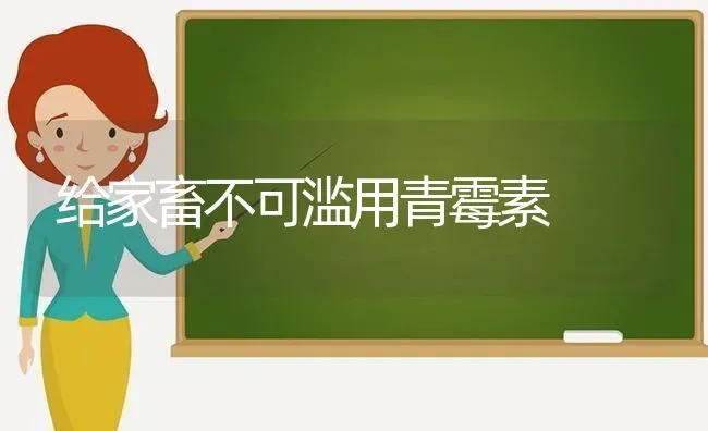 给家畜不可滥用青霉素 | 家畜养殖