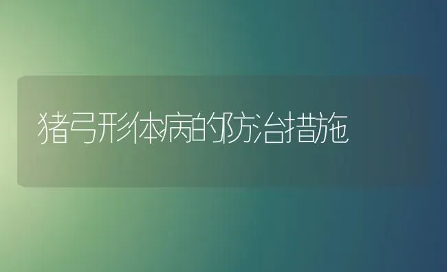 猪弓形体病的防治措施 | 家畜养殖