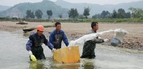 怎么样有效地防治水产养殖过程中的疾病