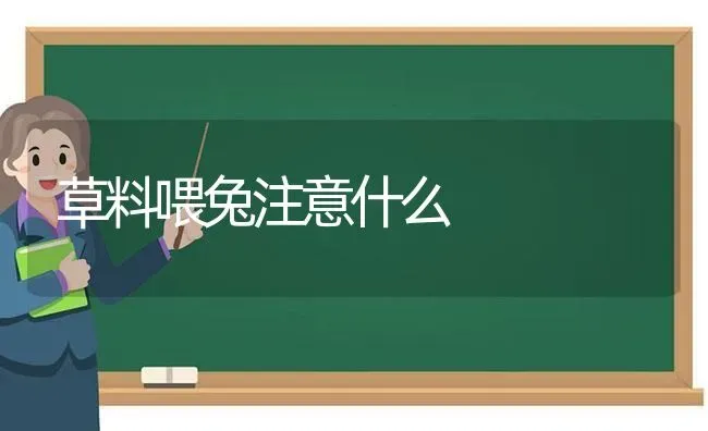 草料喂兔注意什么 | 家畜养殖