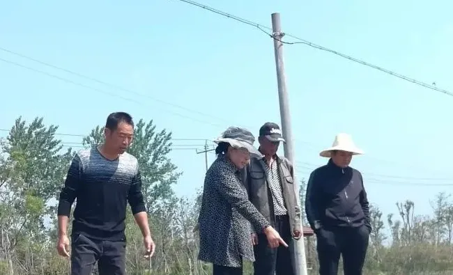 黑斑蛙养殖, 在安徽亳州利辛县张村镇杜竹园村取得成功......