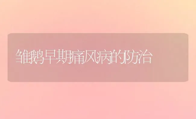 雏鹅早期痛风病的防治 | 家禽养殖