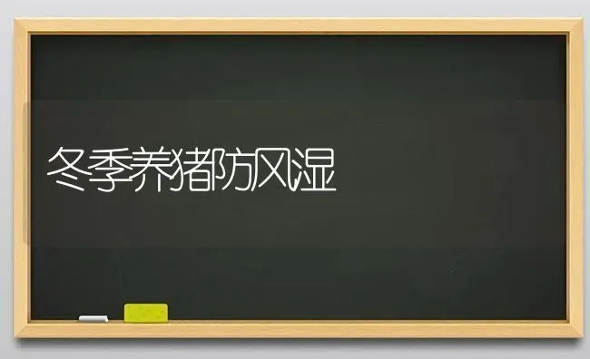 冬季养猪防风湿 | 家畜养殖