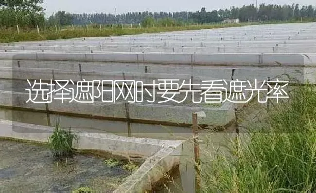 选择遮阳网时要先看遮光率 | 特种养殖