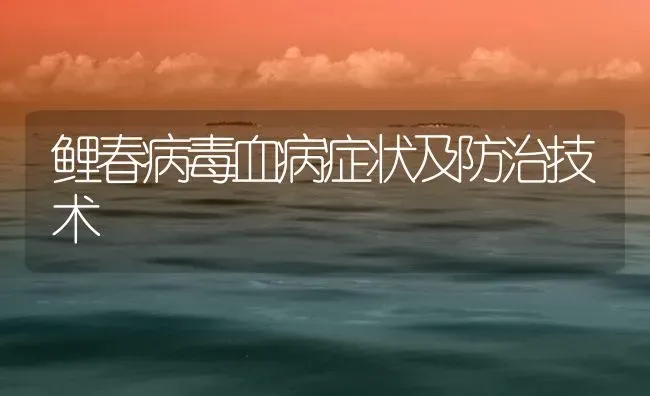 鲤春病毒血病症状及防治技术 | 养殖病虫害防治