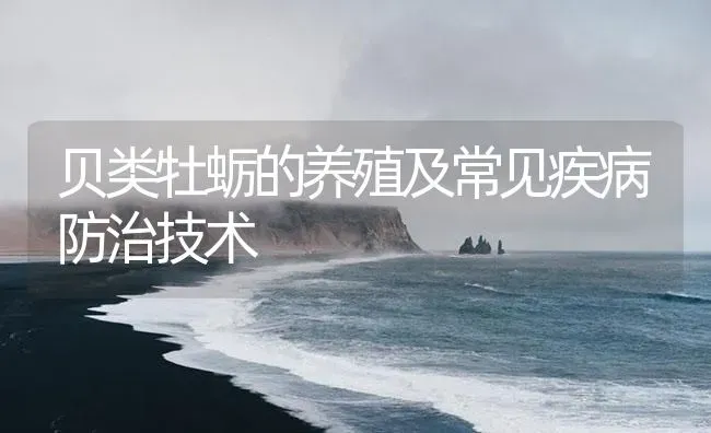 贝类牡蛎的养殖及常见疾病防治技术 | 海水养殖