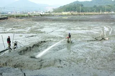 水产养殖池塘底部发黑，该如何处理？