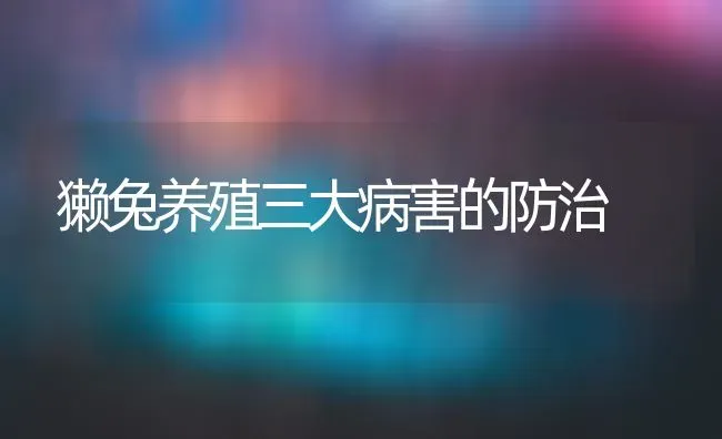 獭兔养殖三大病害的防治 | 家畜养殖
