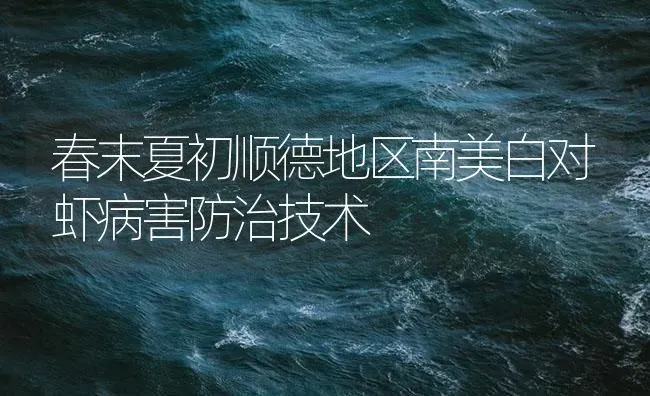 春末夏初顺德地区南美白对虾病害防治技术 | 海水养殖