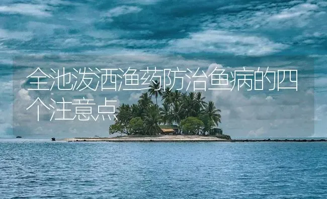 全池泼洒渔药防治鱼病的四个注意点 | 养殖病虫害防治