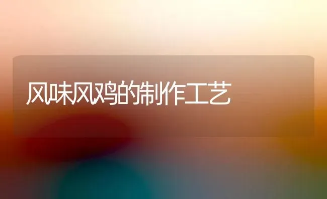风味风鸡的制作工艺 | 家禽养殖