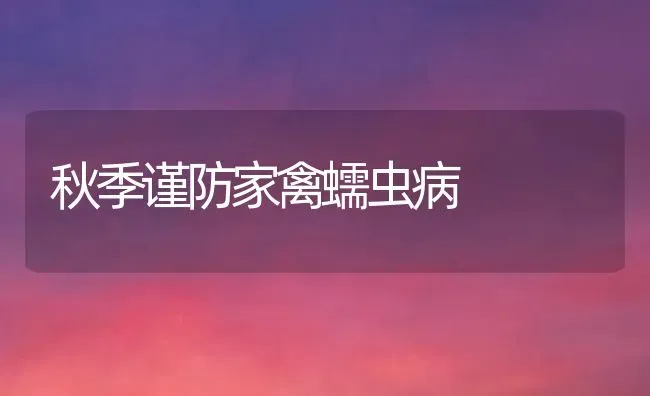 秋季谨防家禽蠕虫病 | 家禽养殖