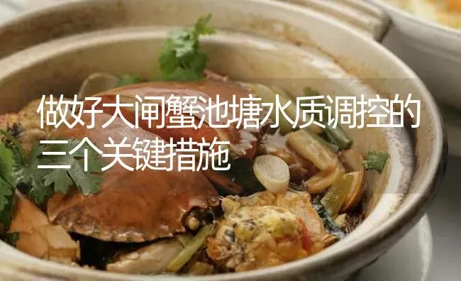 做好大闸蟹池塘水质调控的三个关键措施 | 淡水养殖