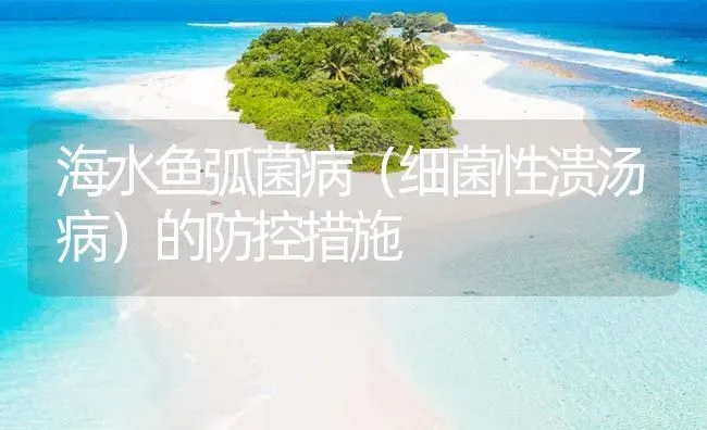 海水鱼弧菌病（细菌性溃汤病）的防控措施 | 养殖病虫害防治