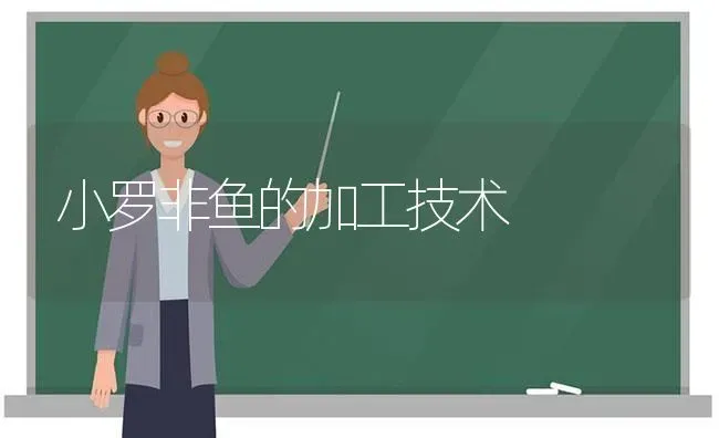 小罗非鱼的加工技术 | 淡水养殖