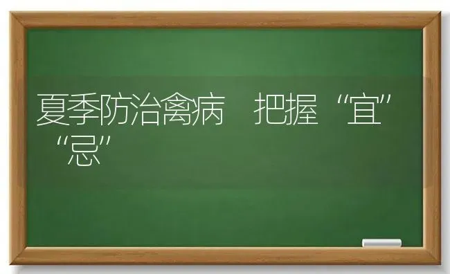 夏季防治禽病 把握“宜”“忌” | 家禽养殖