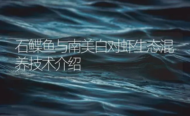 石鲽鱼与南美白对虾生态混养技术介绍 | 海水养殖