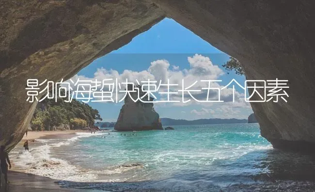 影响海蜇快速生长五个因素 | 海水养殖