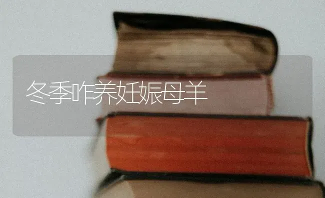 冬季咋养妊娠母羊 | 家畜养殖