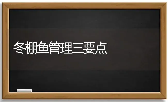 冬棚鱼管理三要点 | 淡水养殖