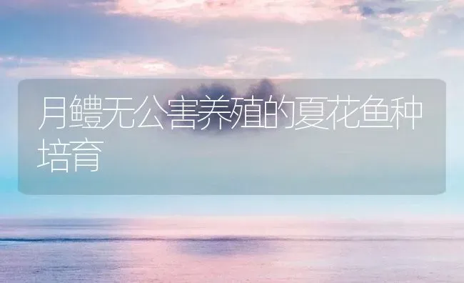 月鳢无公害养殖的夏花鱼种培育 | 淡水养殖