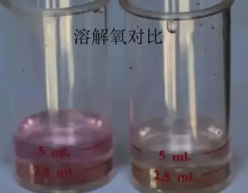 数据告诉你：夏季高温季节对虾塘要不要搭遮阳网