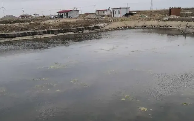 高温来袭，扑草净等都失灵了，海参圈如何控草？