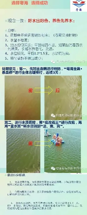 黄颡鱼水质调控案例：养鱼先养水好水出好鱼