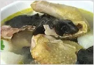 孕妇鸽子汤 | 动物饲养方法
