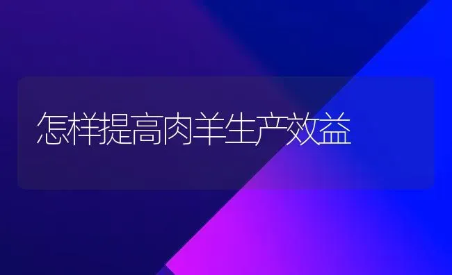 怎样提高肉羊生产效益 | 家畜养殖