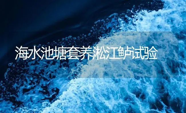 海水池塘套养淞江鲈试验 | 海水养殖