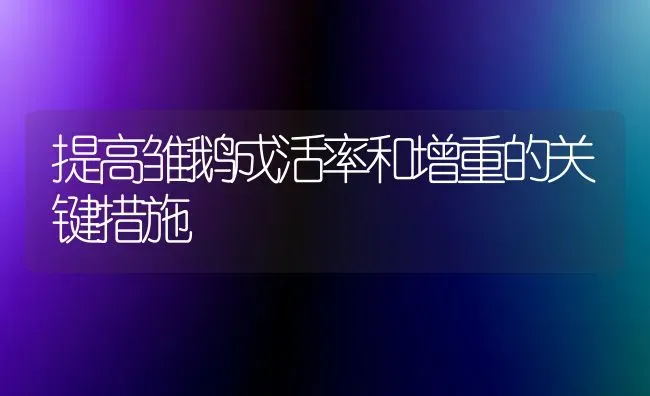 提高雏鹅成活率和增重的关键措施 | 家禽养殖