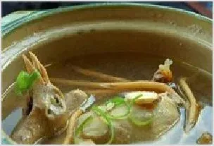 孕妇鸽子汤 | 动物饲养方法