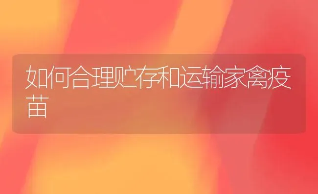 如何合理贮存和运输家禽疫苗 | 家禽养殖